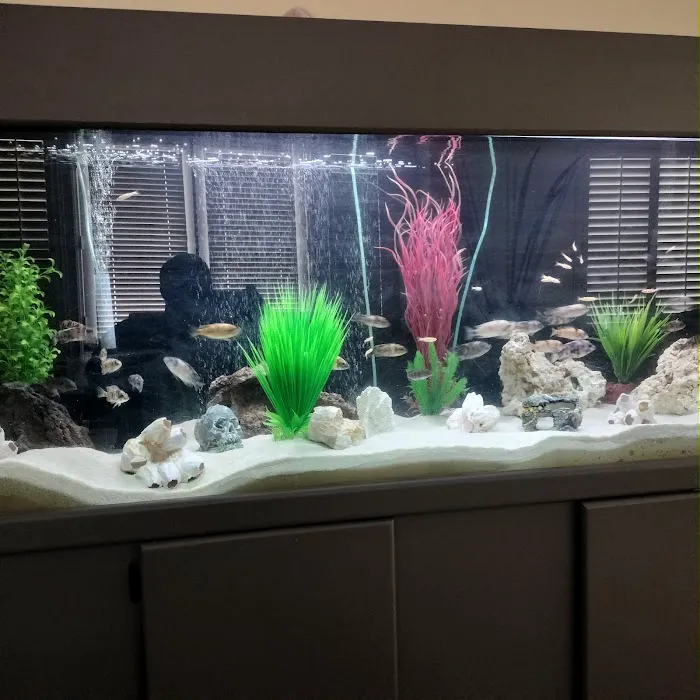 West coast cichlid supply LLC Picture 4