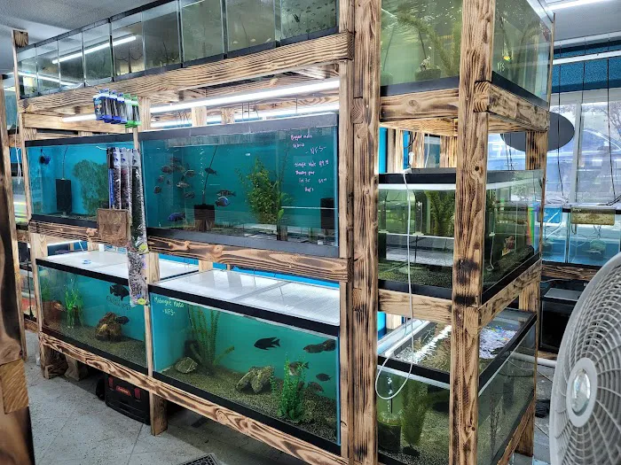 West coast cichlid supply LLC Picture 7