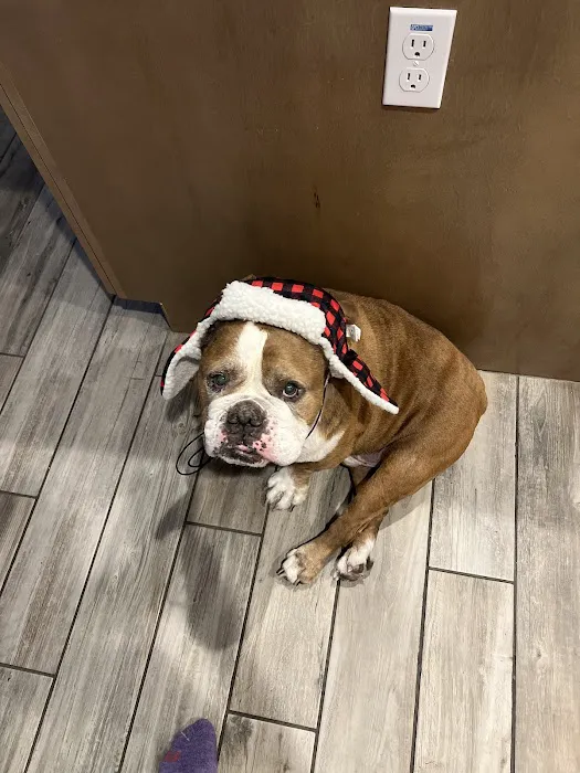 Queen Creek Veterinary Clinic Picture 8