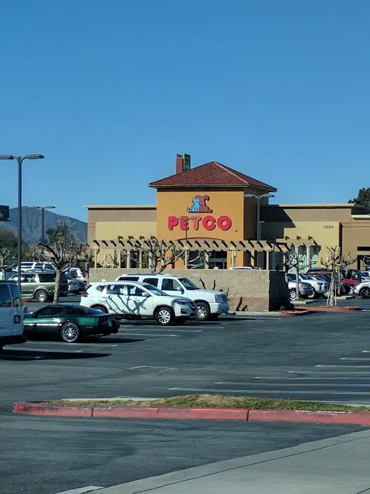 Petco Picture 7