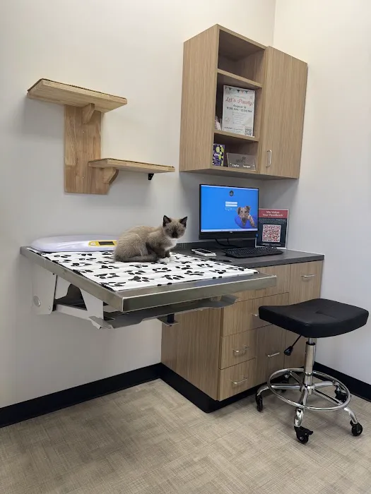 CityVet | Queen Creek Picture 2