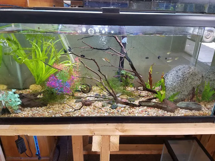 Hidden Valley reptile and pets, formally Kritters pets. Picture 4