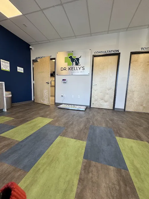 Dr. Kelly's Surgical Unit - Queen Creek Picture 4