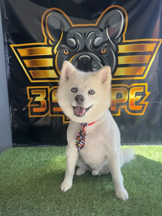 Top Dog Pet Store & Grooming Picture 1