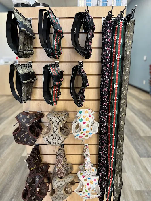 Top Dog Pet Store & Grooming Picture 8