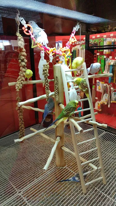 Petco Picture 2