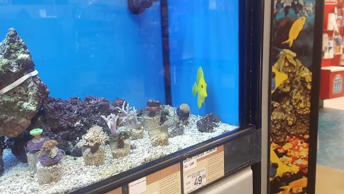 Petco Picture 10