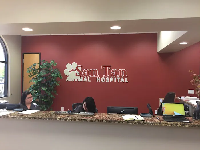 San Tan Animal Hospital Picture 2