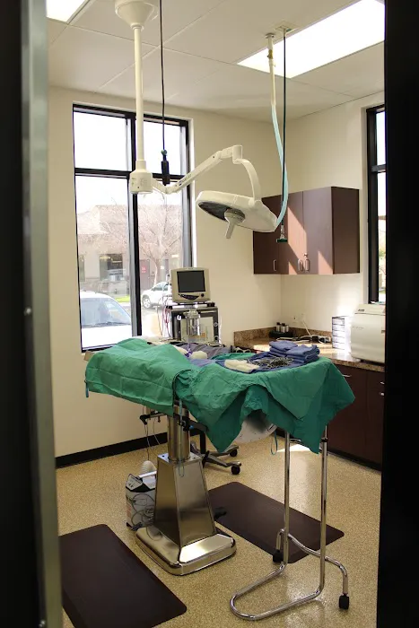 San Tan Animal Hospital Picture 3