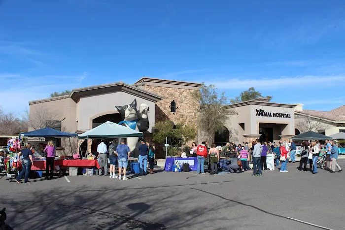 San Tan Animal Hospital Picture 8