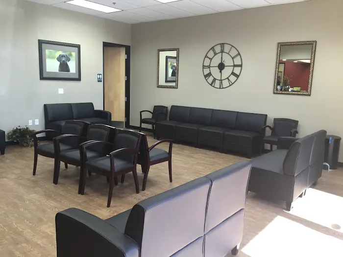 San Tan Animal Hospital Picture 9