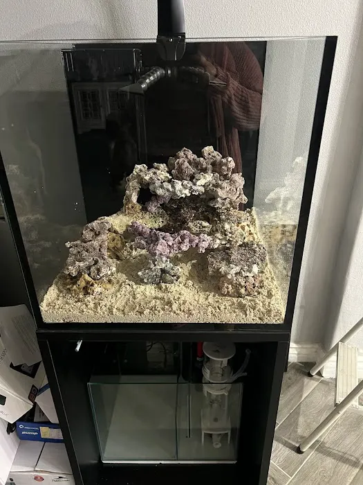 Reef Runner's Aquarium Service Picture 2