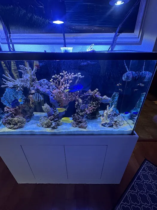 Reef Runner's Aquarium Service Picture 3