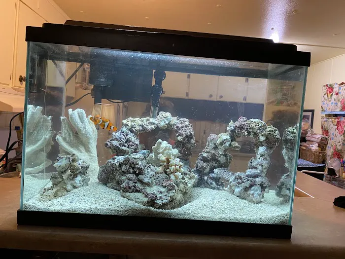 Reef Runner's Aquarium Service Picture 7