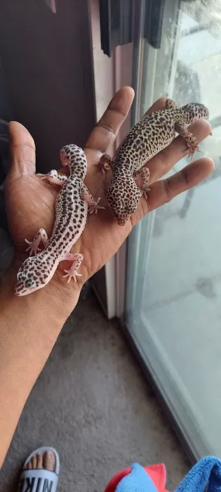 Westisbest Reptiles LLC Picture 2