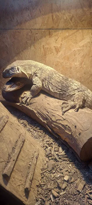 Westisbest Reptiles LLC Picture 4