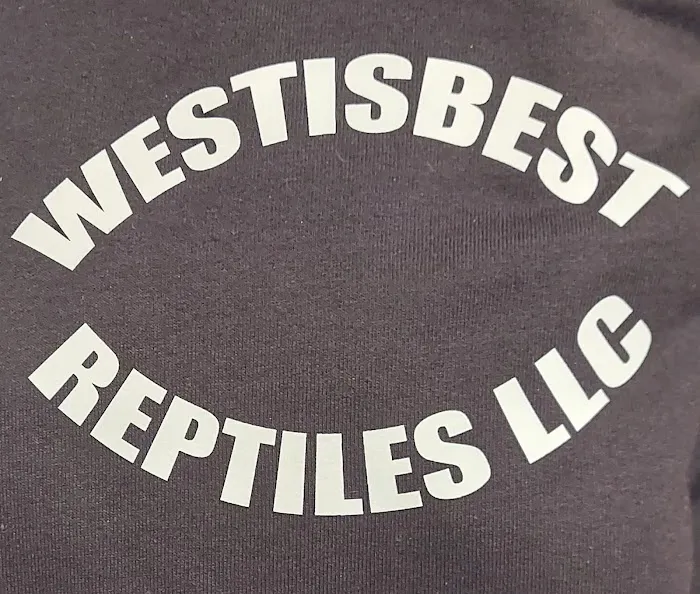 Westisbest Reptiles LLC Picture 6