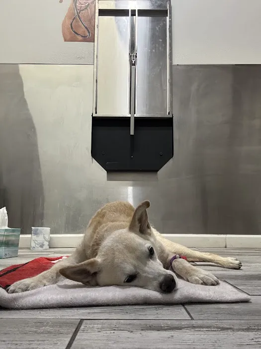 Compassionate Animal Care Picture 5