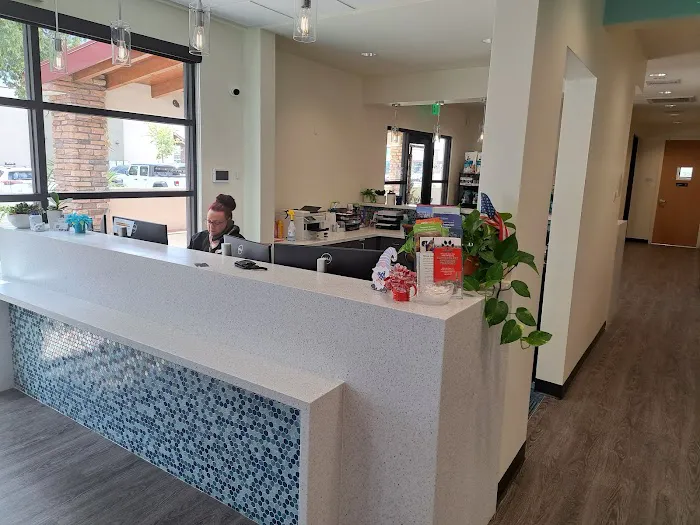 Revel Vet Picture 1