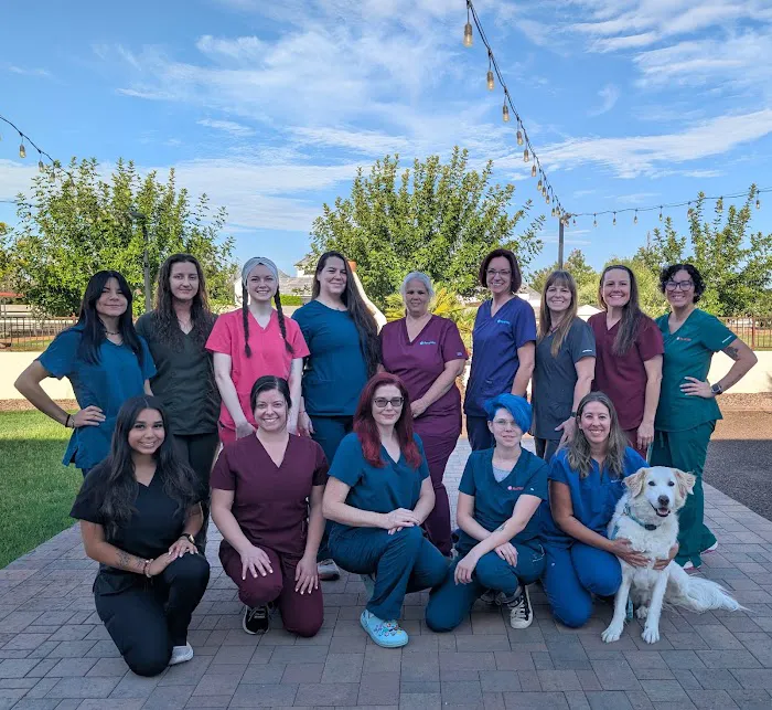 Revel Vet Picture 3