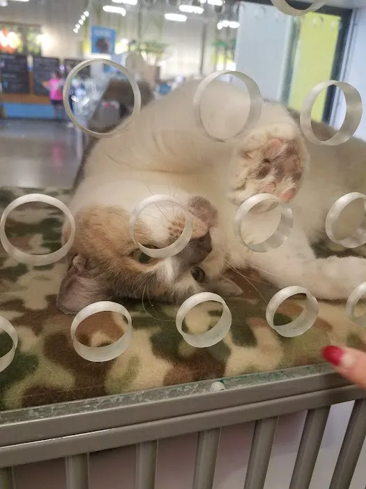 Petco Picture 3
