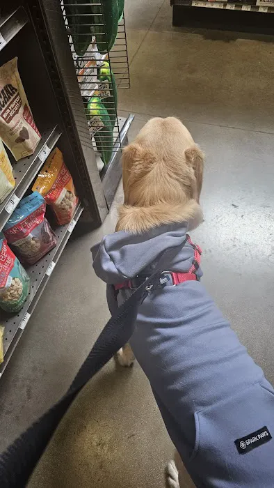 Petco Picture 9