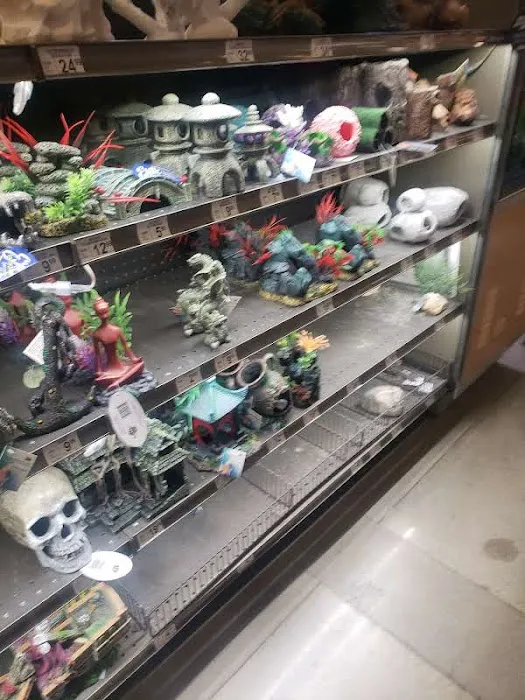 Petco Picture 7