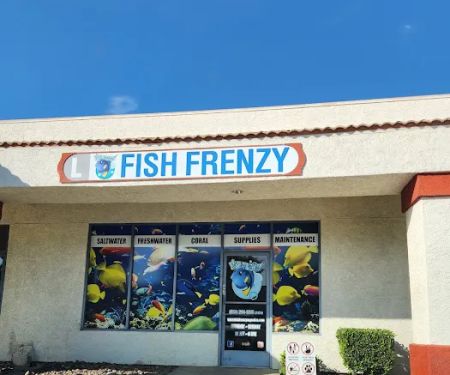 Fish Frenzy
