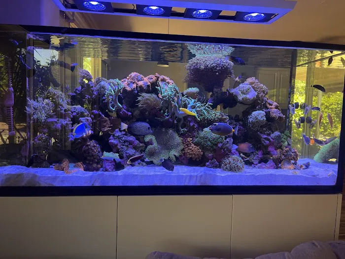 Fish Frenzy Picture 7