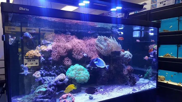 Fish Frenzy Picture 5