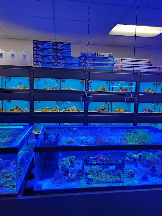 Fish Frenzy Picture 2