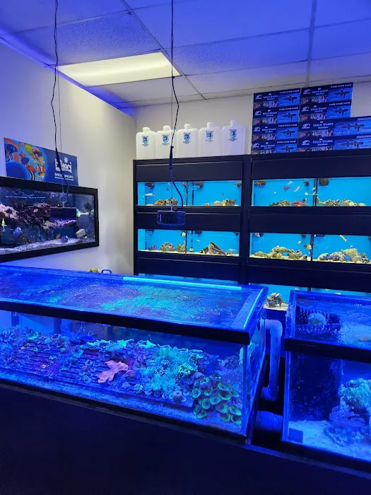 Fish Frenzy Picture 3
