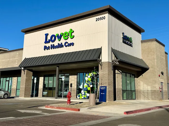 Lovet Pet Health Care - Queen Creek Picture 7