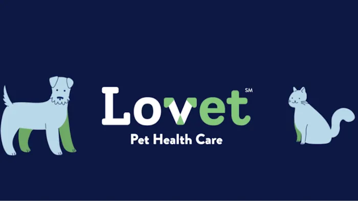 Lovet Pet Health Care - Queen Creek Picture 6