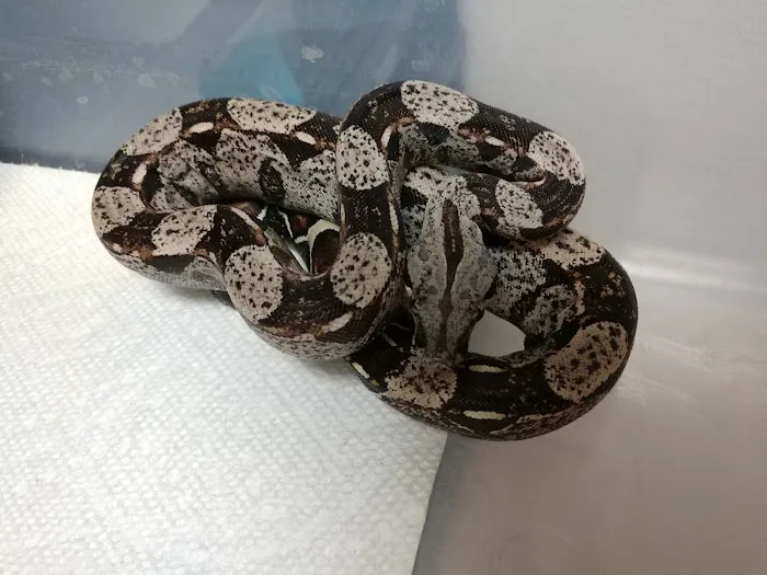The Reptile Shop Picture 4