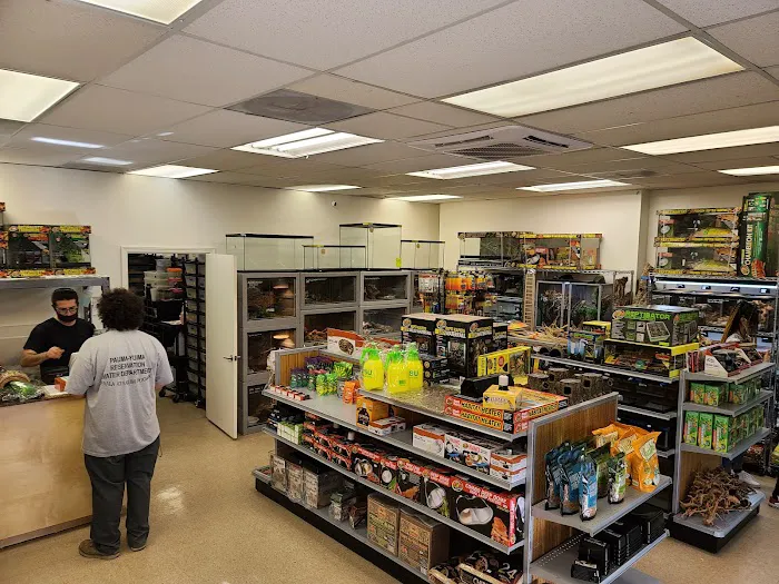 The Reptile Shop Picture 3
