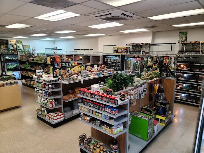 The Reptile Shop Picture 7