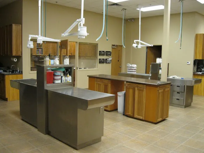 Ironwood Animal Hospital, A Thrive Pet Healthcare Partner Picture 5