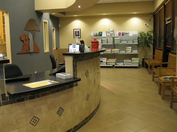 Ironwood Animal Hospital, A Thrive Pet Healthcare Partner Picture 4