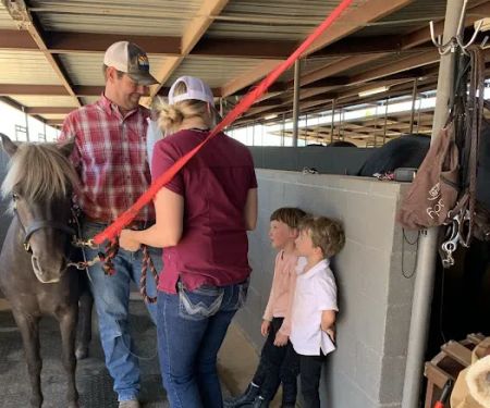 Desert Mountain Equine