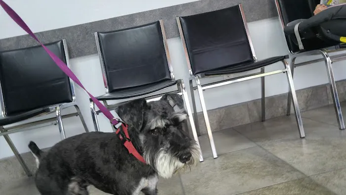 Johnson Ranch Animal Clinic Picture 2
