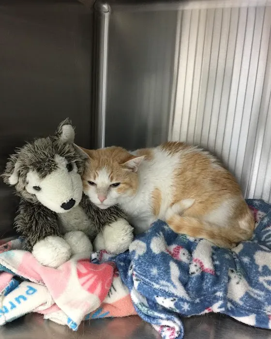 Johnson Ranch Animal Clinic Picture 10
