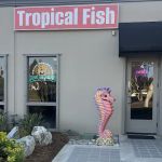 Coral Smugglers LLC