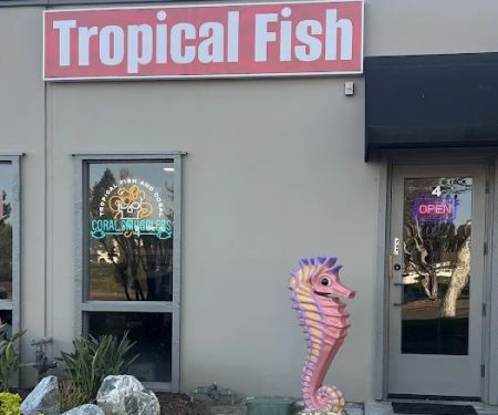 Coral Smugglers LLC