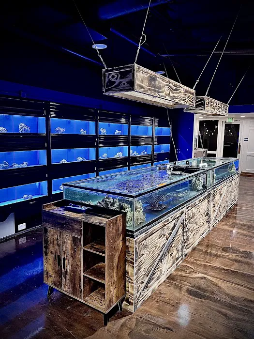 Coral Smugglers LLC Picture 2