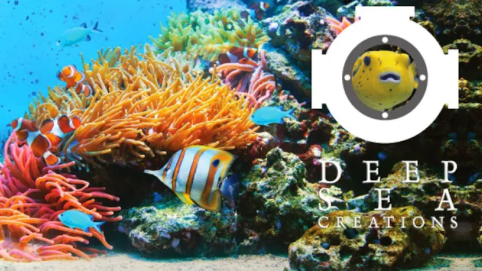 Deep Sea Creations Picture 3