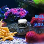 Deep Sea Creations
