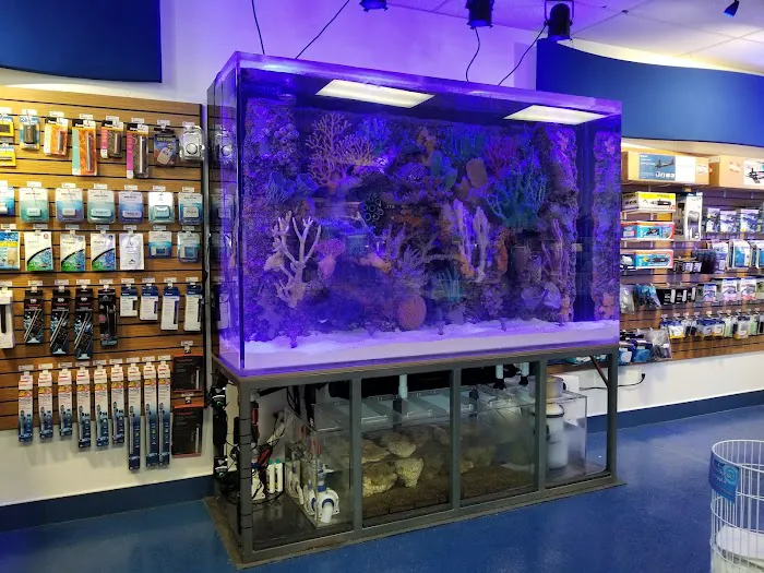 Deep Sea Creations Picture 5