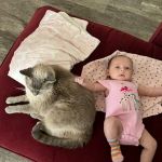 KC In-Home Pet Euthanasia