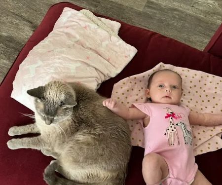 KC In-Home Pet Euthanasia